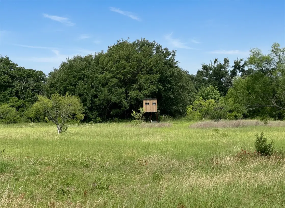 38 White Wing Circle, Blanket, TX 76432 - #1