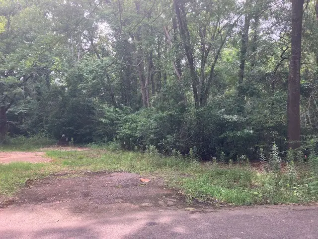 1315 N Fannin Avenue, Tyler, TX 75702 - #1
