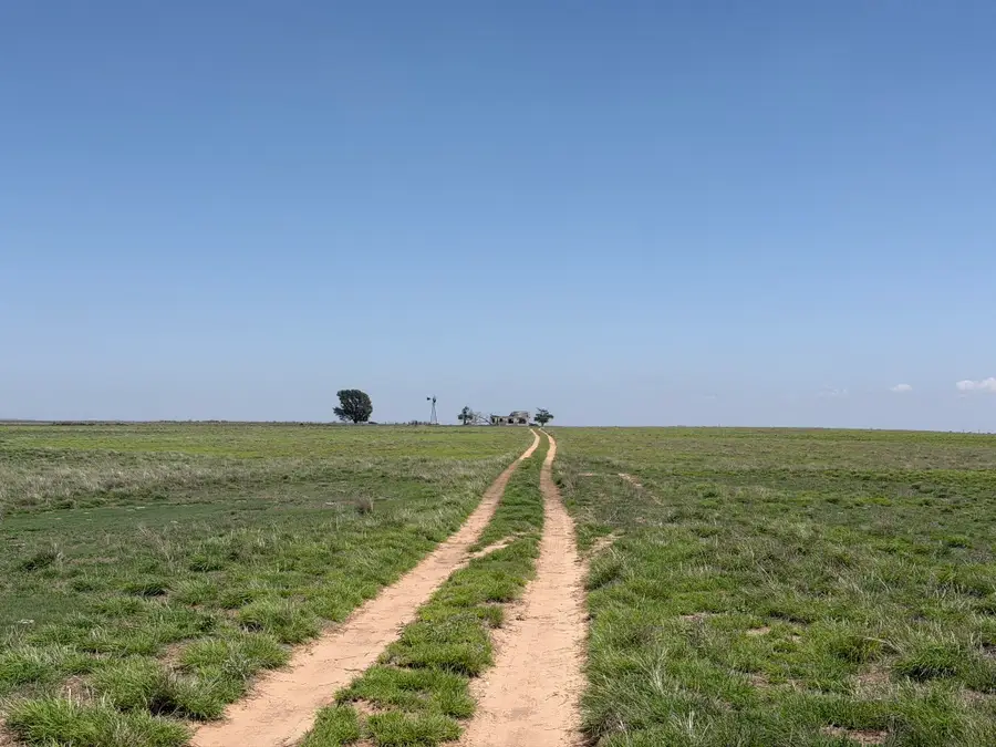 TBD County Road 3, Mobeetie, TX 79061 - #2