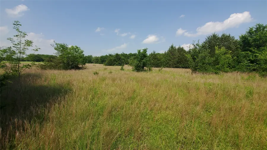 9999 Private Road #1194, Celeste, TX 75423 - #3