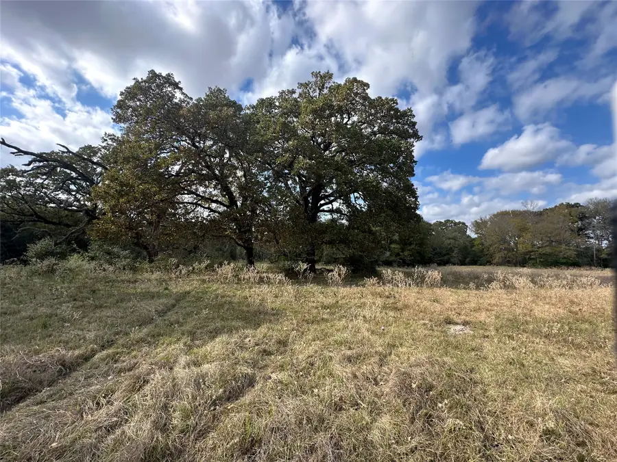 TBD Lcr 758, Thornton, TX 76687 - #2