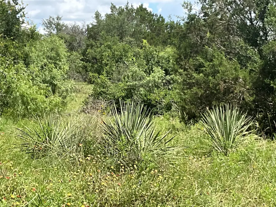 TBD W Fm 2486, Gustine, TX 76455 - #3