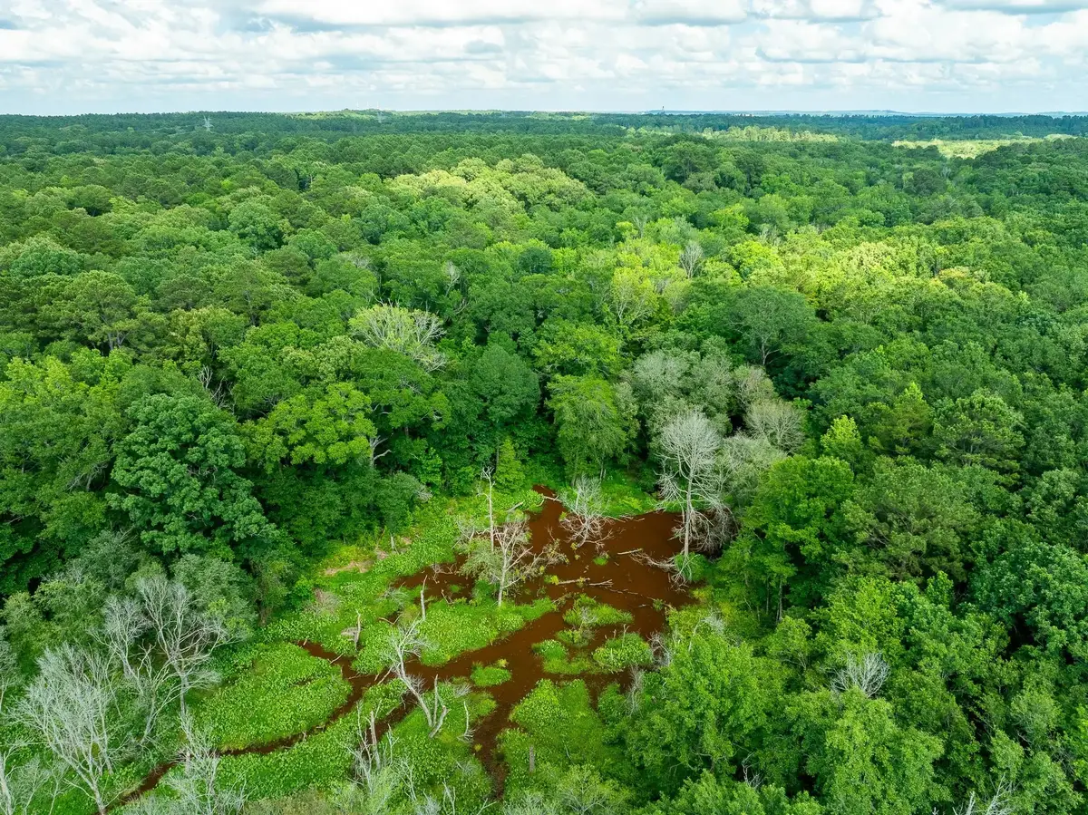 na Cr 2137 D, Tatum, TX 75961 - #1
