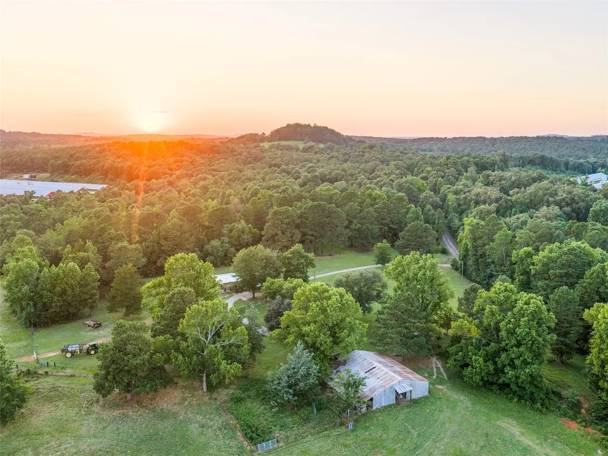 9822 Nasturtium Road, Ore City, TX 75683 - #1