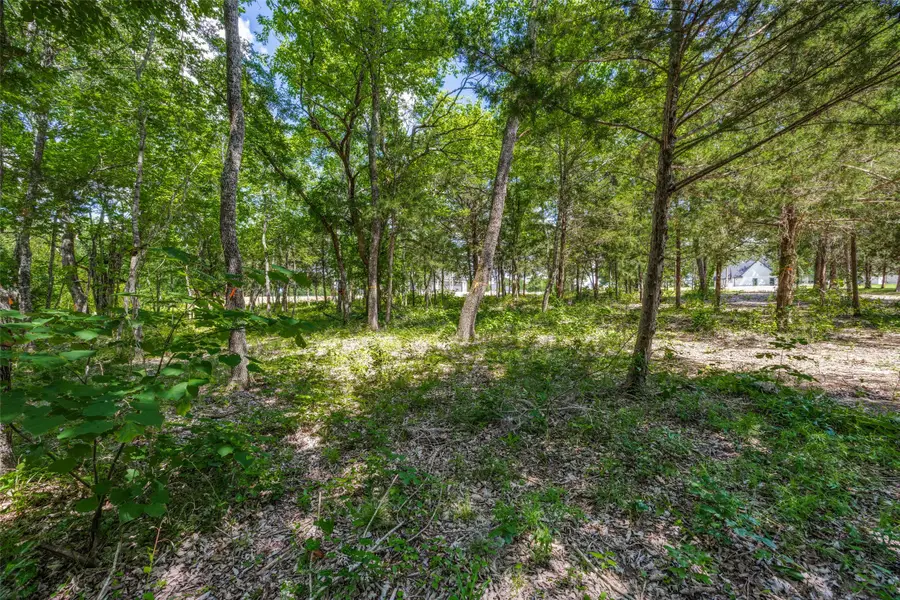 507 Charlie Joseph Drive, Van Alstyne, TX 75495 - #3