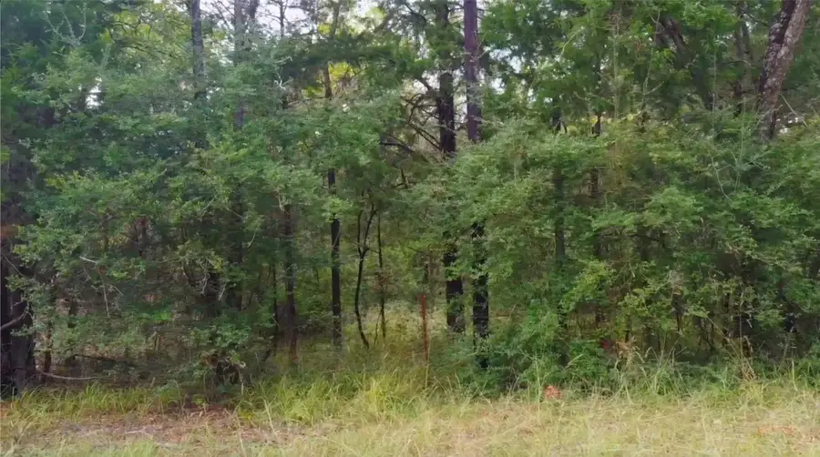 0 Lcr 900, Jewett, TX 75846 - #3