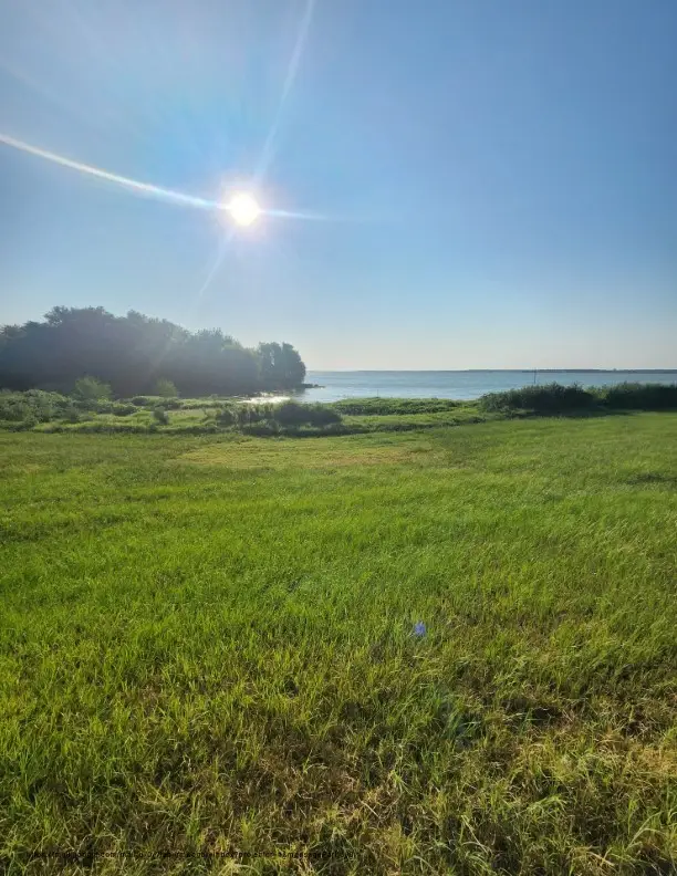 00 Se County Road, Kerens, TX 75144 - #3