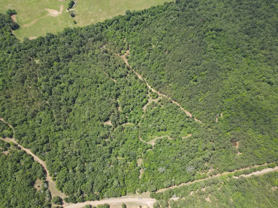 TBD 35 +/- AC Vz County Road 4814, Ben Wheeler, TX 75754 - #2