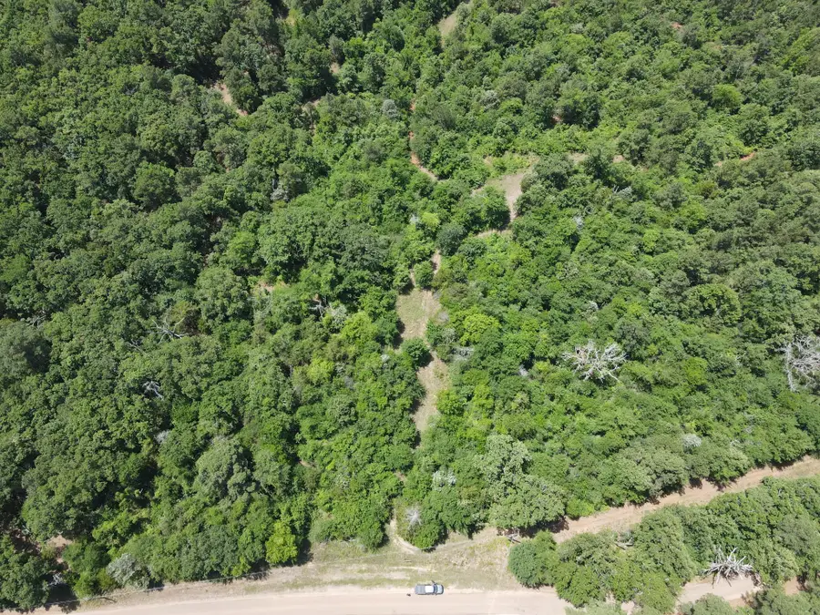 TBD 35 +/- AC Vz County Road 4814, Ben Wheeler, TX 75754 - #3