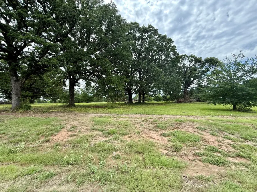 430 Shoreline Drive, Dodd City, TX 75438 - #3