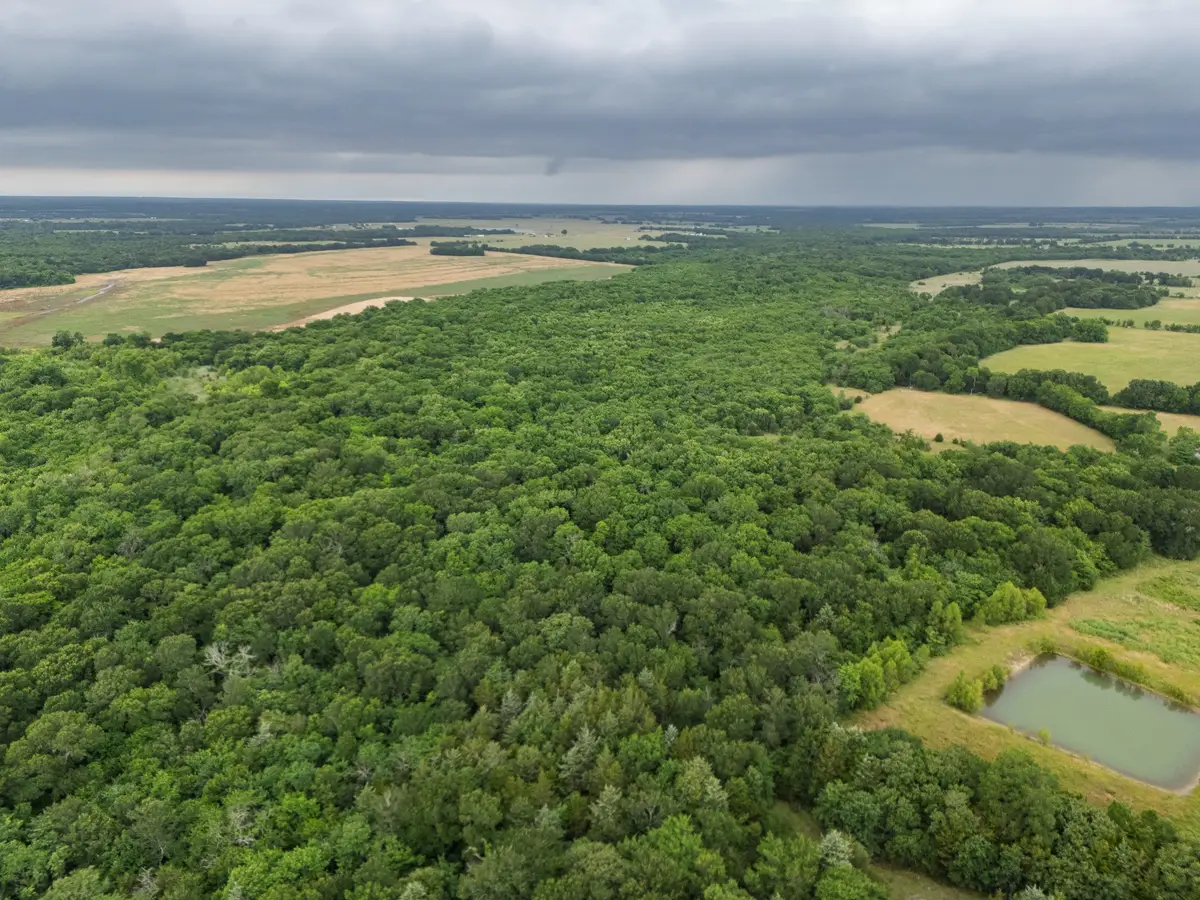 Tract 9 County Road 2158, Cooper, TX 75432 - #1