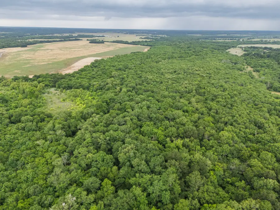 Tract 9 County Road 2158, Cooper, TX 75432 - #2