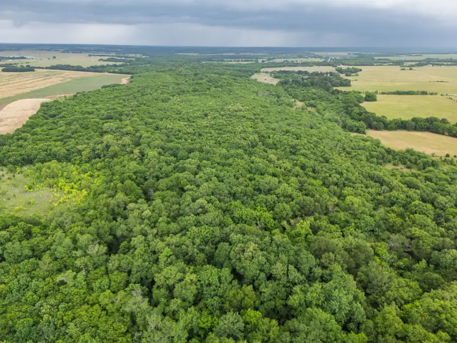 Tract 9 County Road 2158, Cooper, TX 75432 - #3