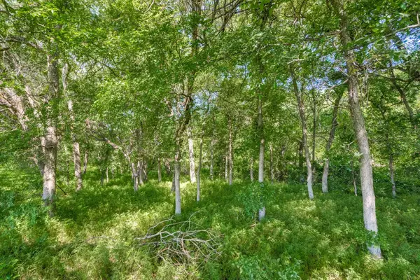 TBD Brockdale Park Road, Lucas, TX 75002