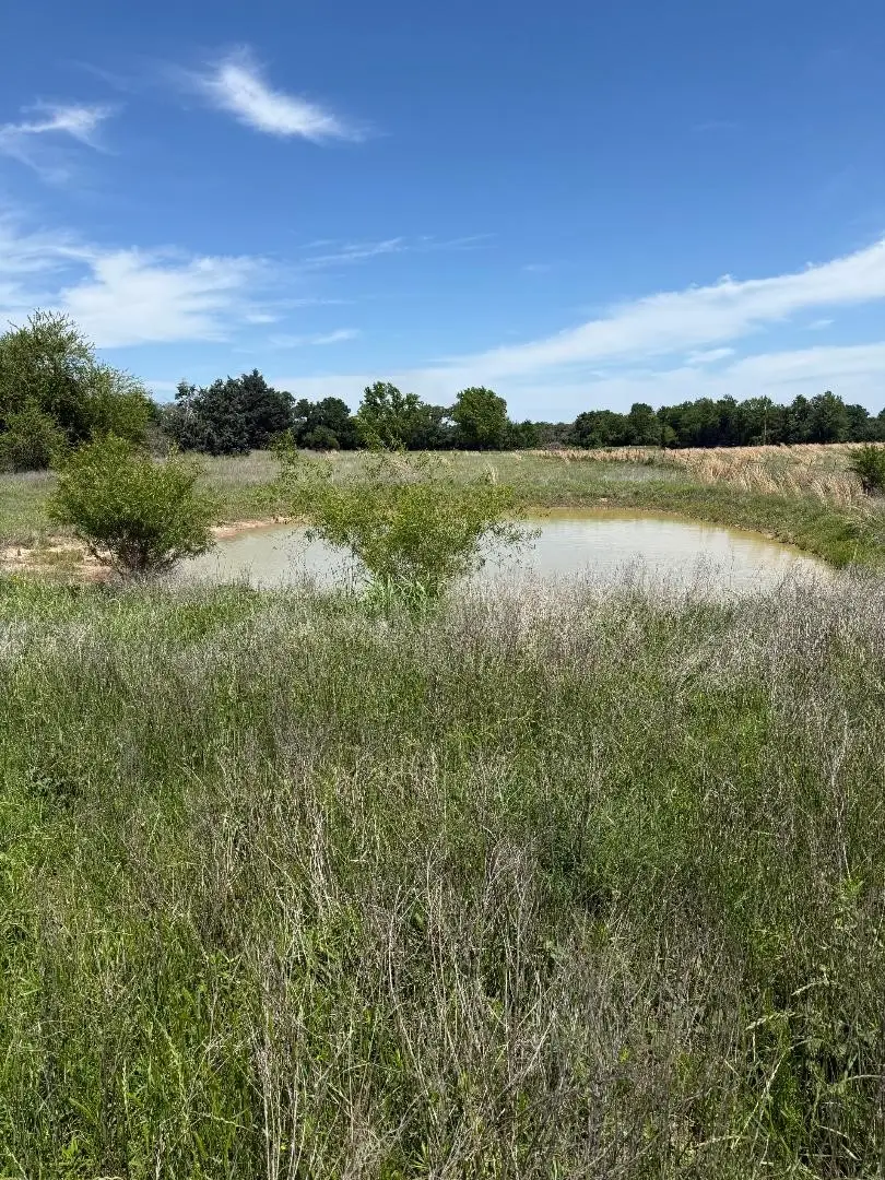TBD 3 County Road 121, Kaufman, TX 75142 - #2