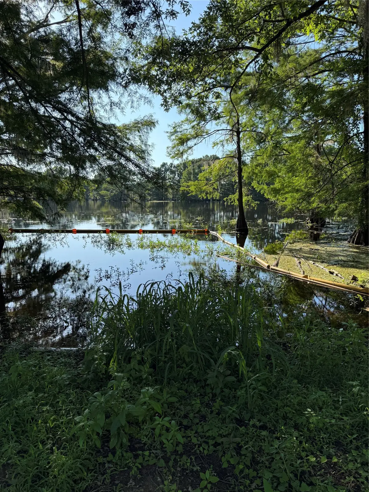 0 Diamond T Road, Heflin, LA 71039 - #1
