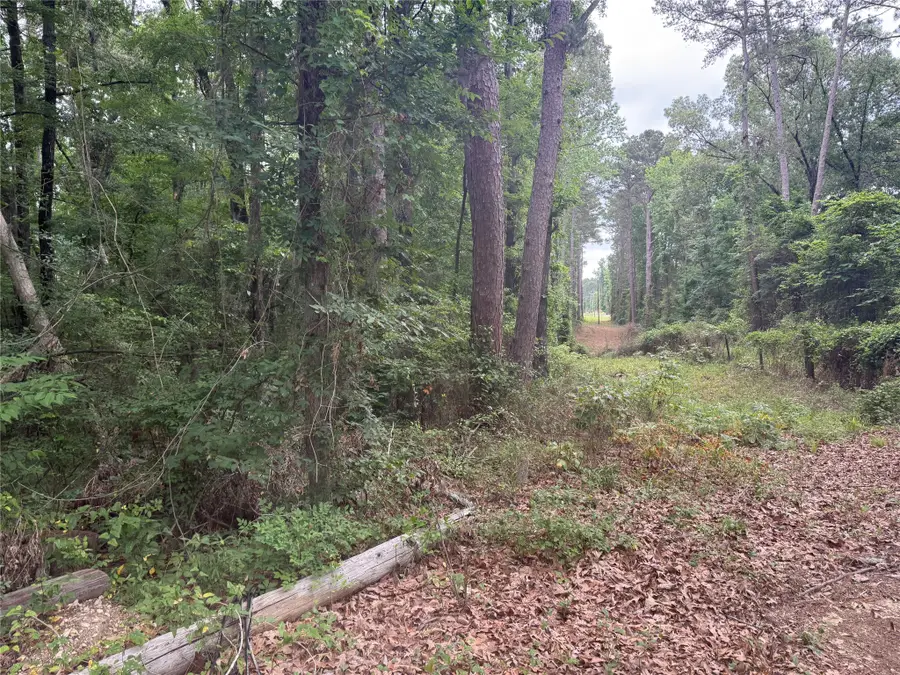 0 Diamond T Road, Heflin, LA 71039 - #3