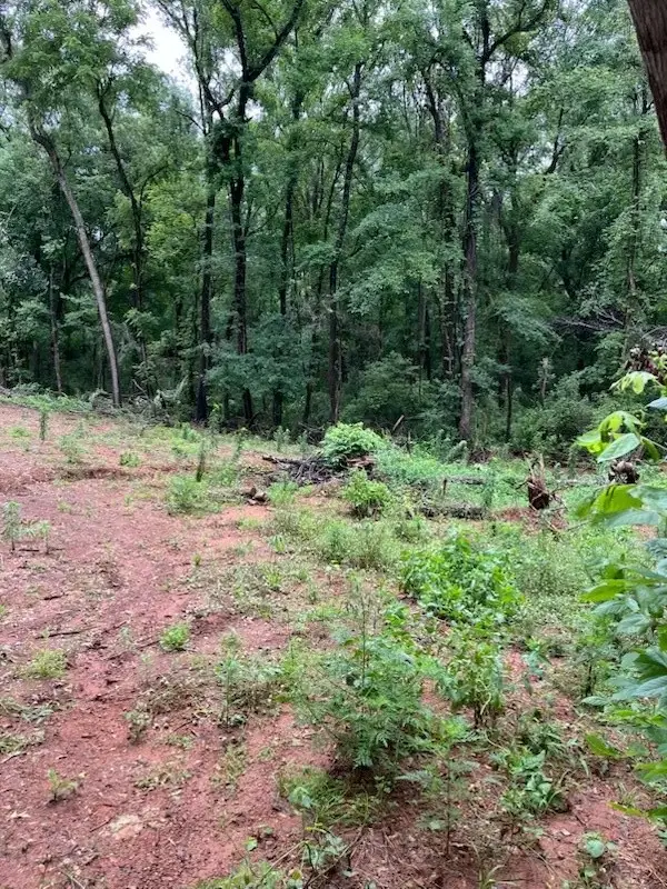 334 Sabine, Bullard, TX 75757 - #1