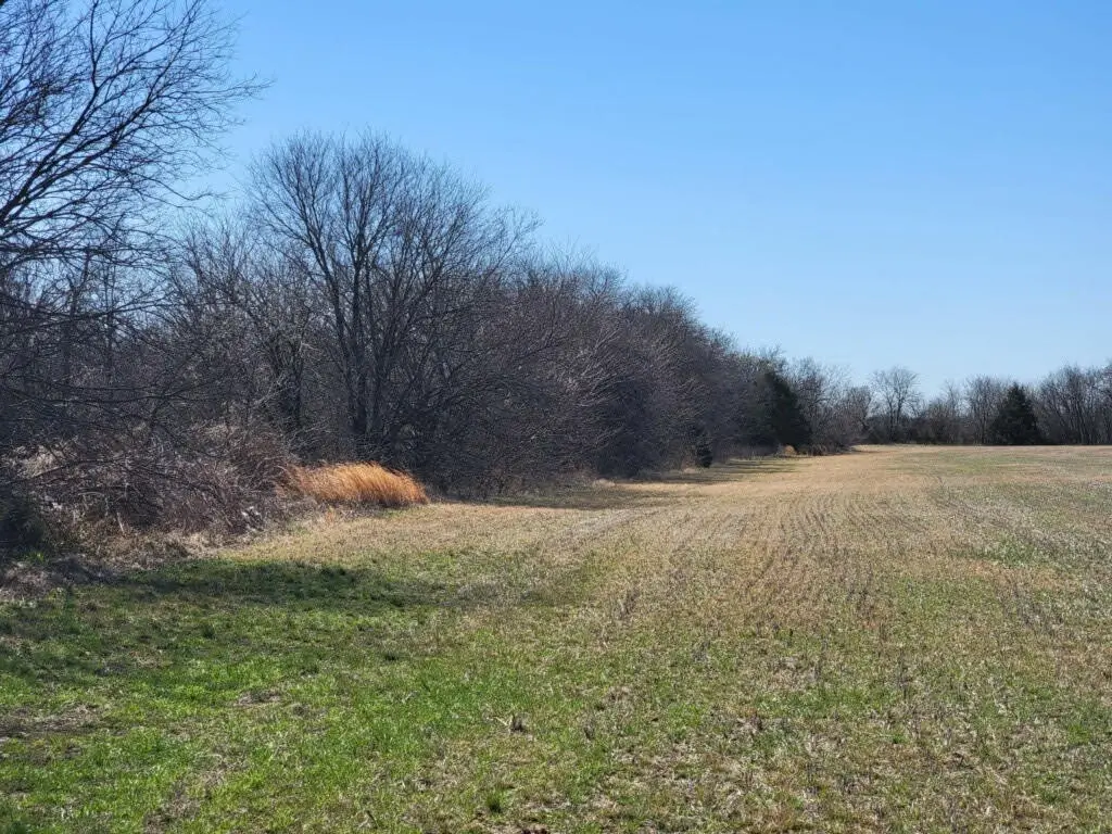 0 Fm 121, Tioga, TX 76271 - #1