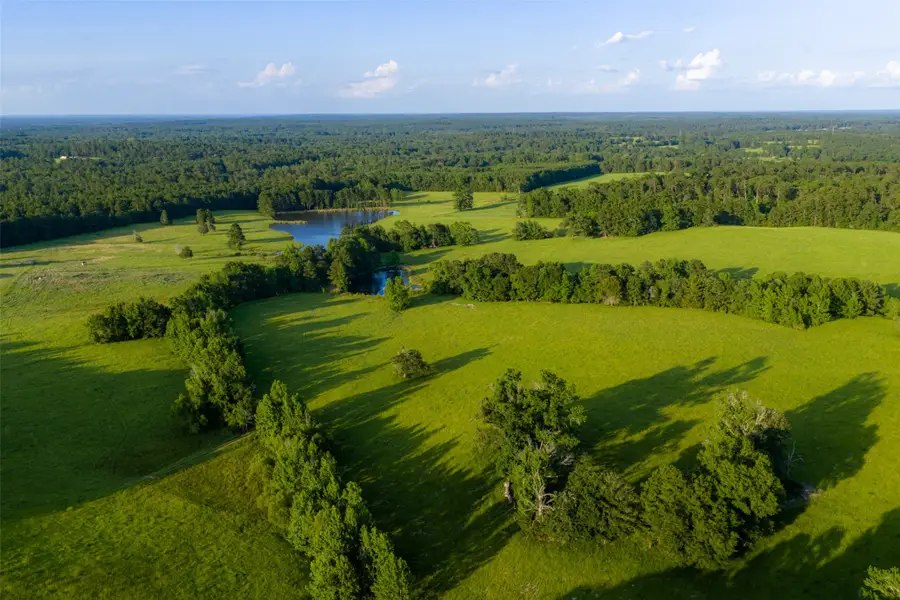 2030 County Road 1640, Grapeland, TX 75844 - #2