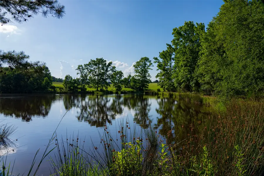 2030 County Road 1640, Grapeland, TX 75844 - #3