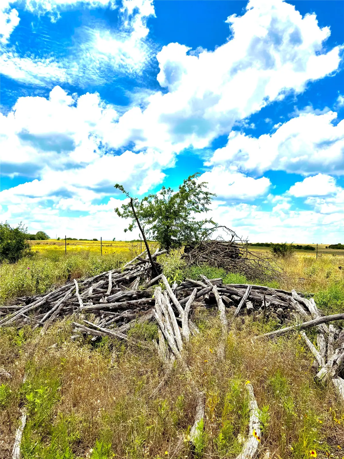TBD Tract 75 Adobe Hill Drive, Stephenville, TX 76401 - #1