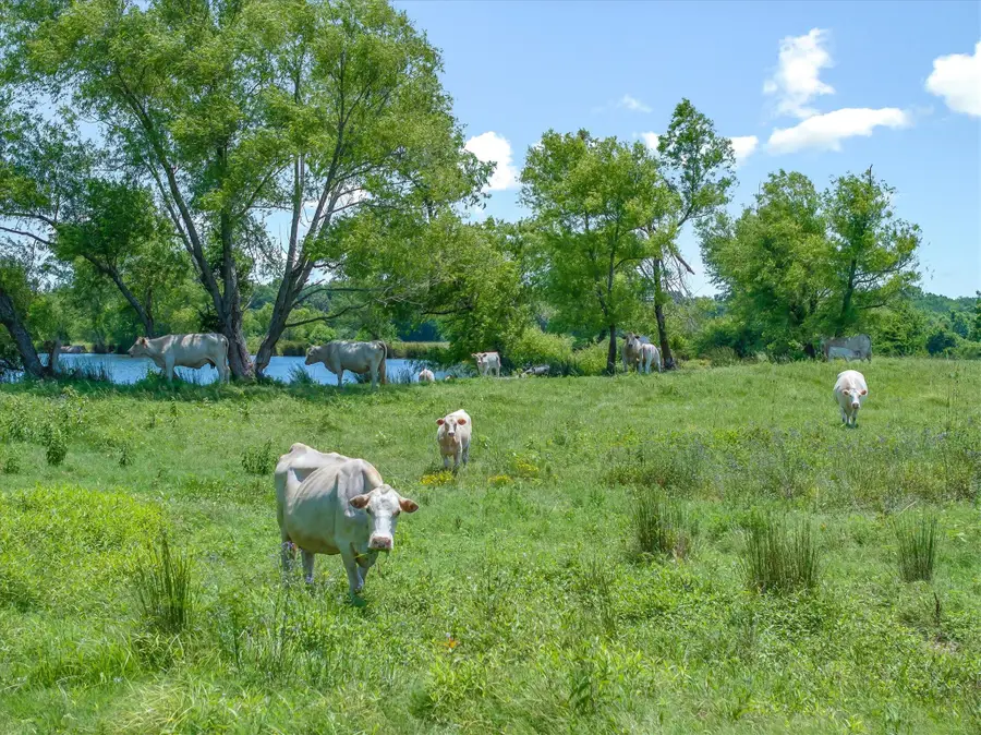 3300 Vz County Road 1903, Edgewood, TX 75117 - #3