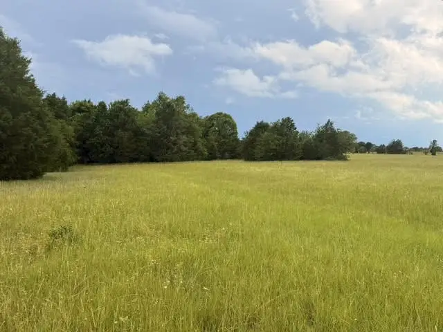 TBD County Road 2500, Eustace, TX 75124 - #1