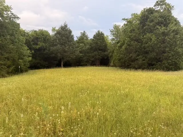 TBD County Road 2500, Eustace, TX 75124 - #3