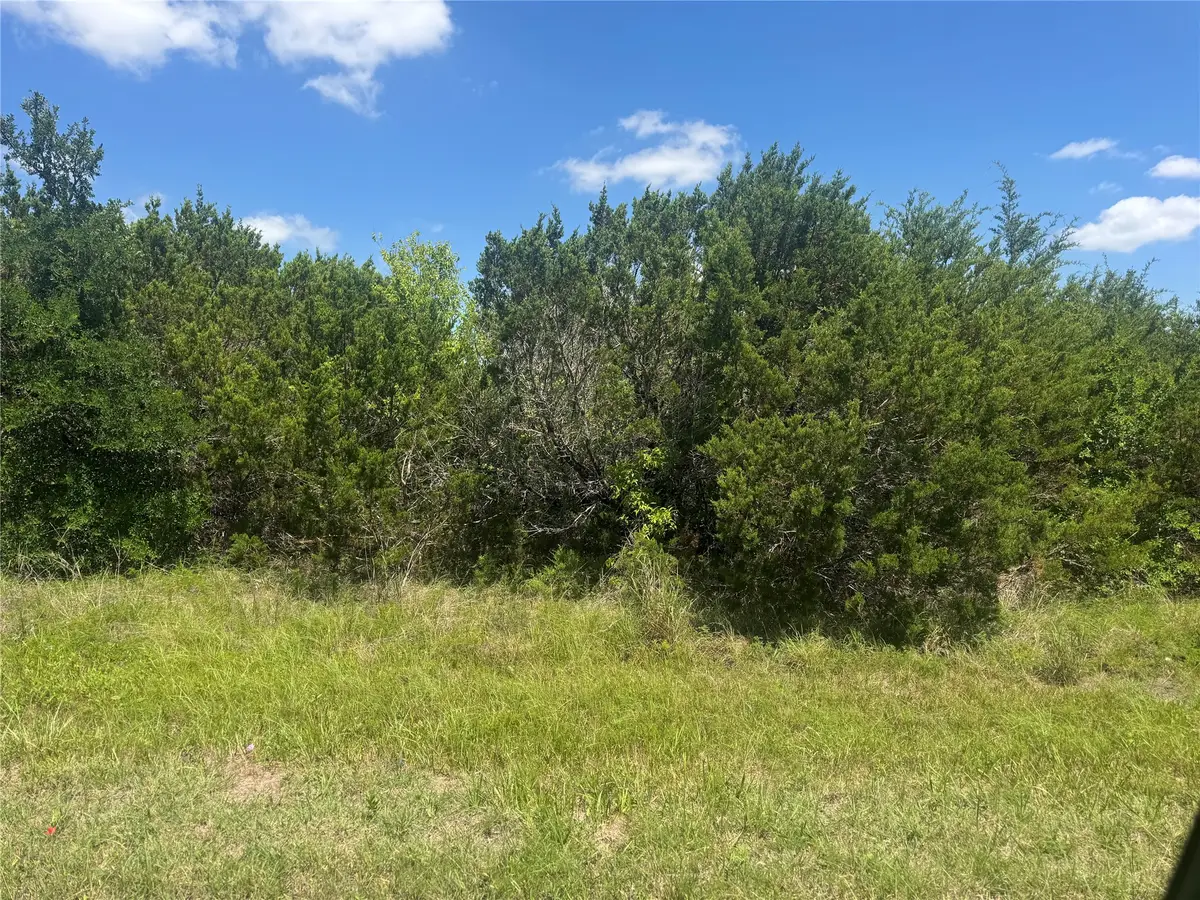 36059 Cedar Ridge Drive, Whitney, TX 76692 - #1