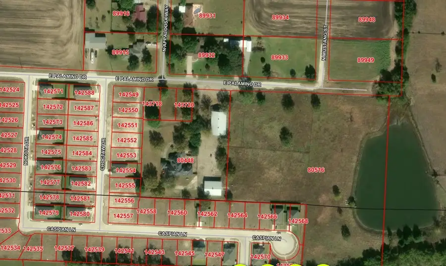 TBD Palamino Drive, Leonard, TX 75452 - #3