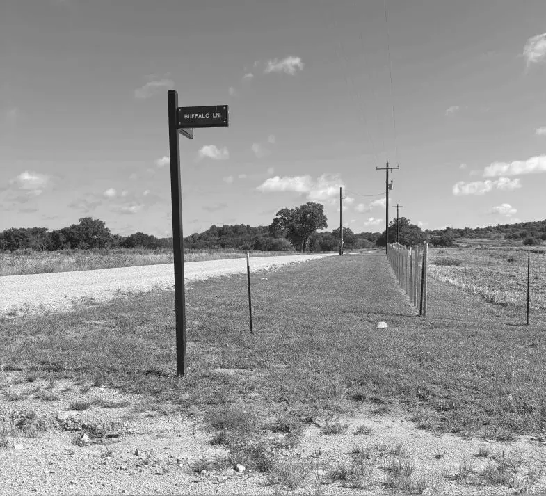 Lot 60 Buffalo Lane, Chico, TX 76431 - #2