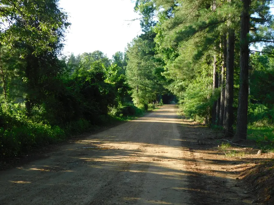 520 Little River 25, Burke, AR 71836 - #3