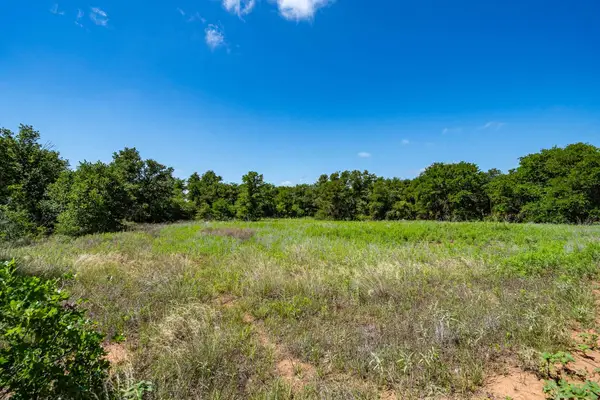 TBD LOT#3 County Road 335, Anson, TX 79501
