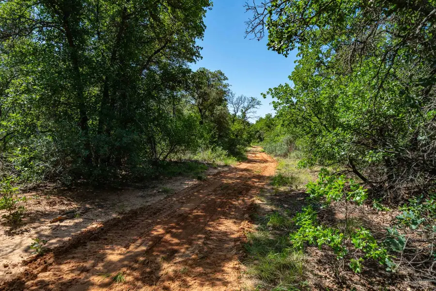 TBD LOT#2 County Road 335, Anson, TX 79501 - #2