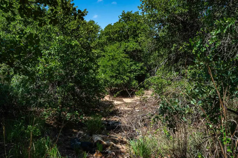 TBD LOT#2 County Road 335, Anson, TX 79501 - #3