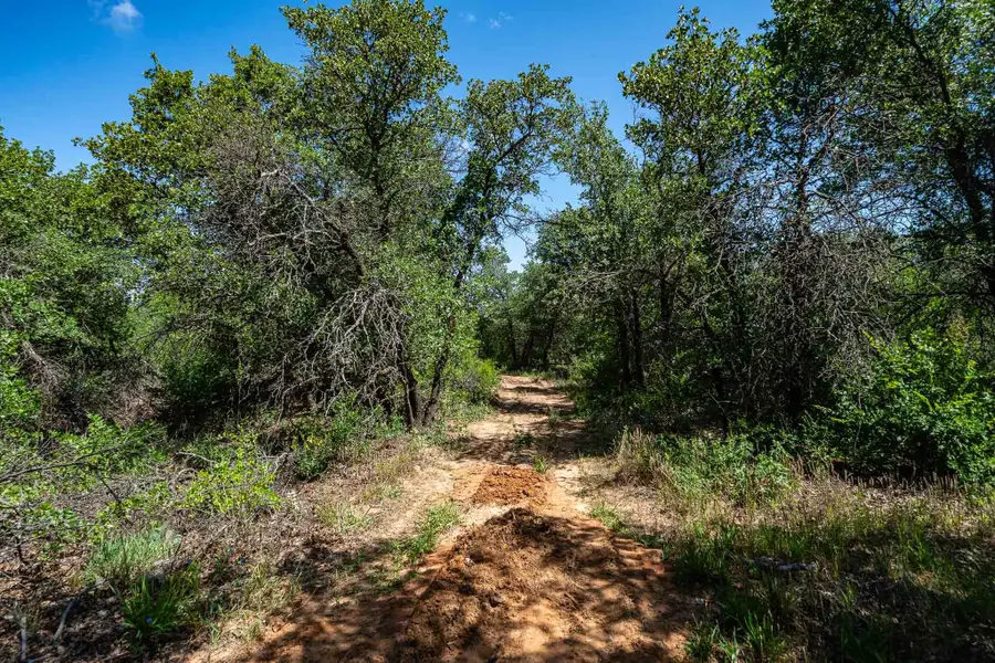 TBD LOT#1 County Road 335, Anson, TX 79501 - #3