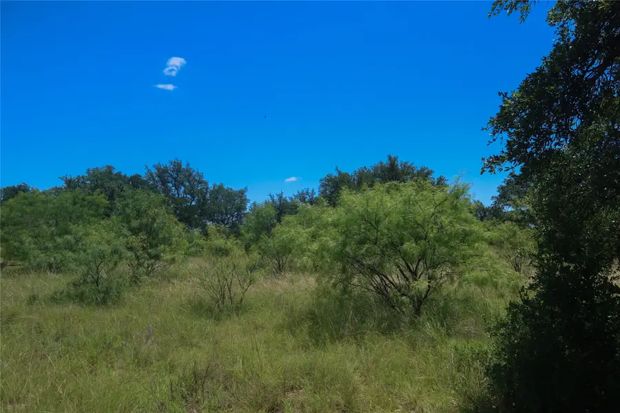 LOT #468 Feather Bay Drive, Brownwood, TX 76801 - #2