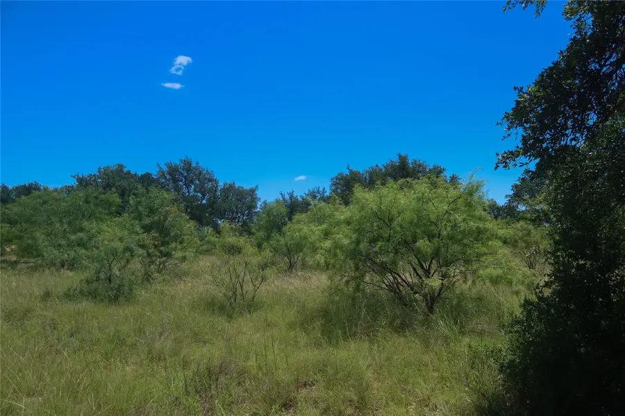 LOT #468 Feather Bay Drive, Brownwood, TX 76801 - #3