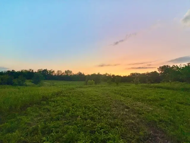 670 Independence Springs, Sherman, TX 75090 - #3