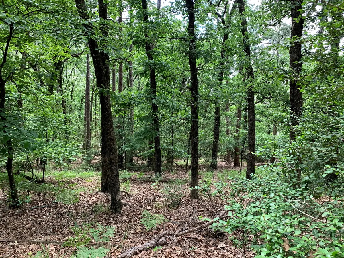 300 & 301 NE Misty Glen Road, Holly Lake Ranch, TX 75765 - #1