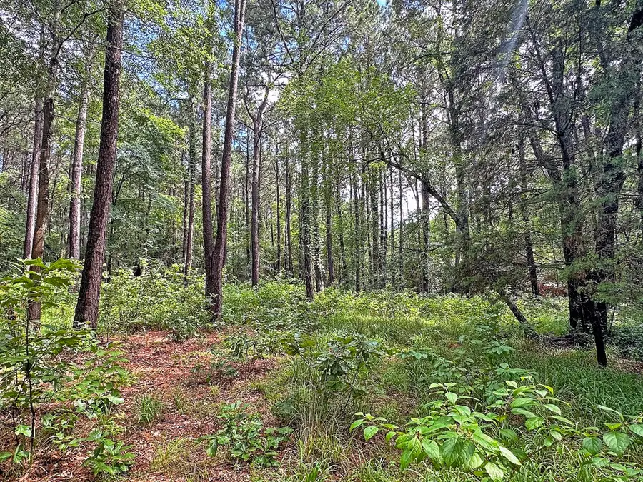 7485 County Road 3907, Athens, TX 75752 - #2