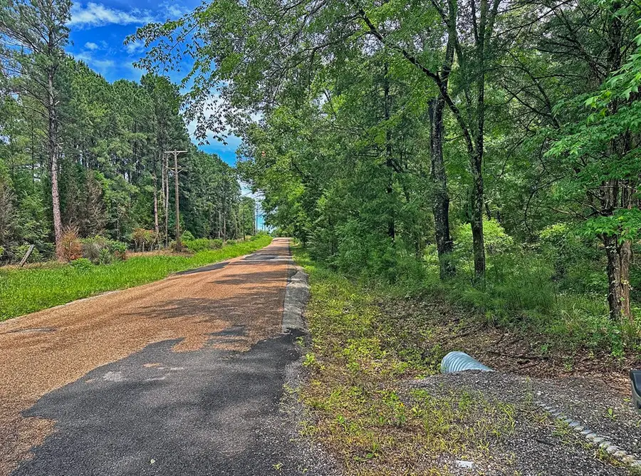 7485 County Road 3907, Athens, TX 75752 - #3