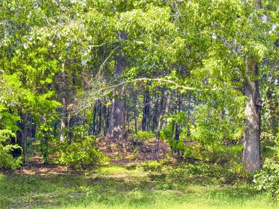 Lot 32 Creek Bottom Court, Winona, TX 75792 - #3
