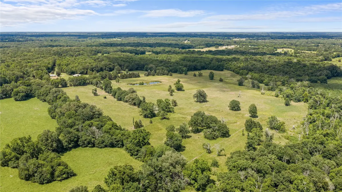 16912 Fm 44, Avery, TX 75554 - #1