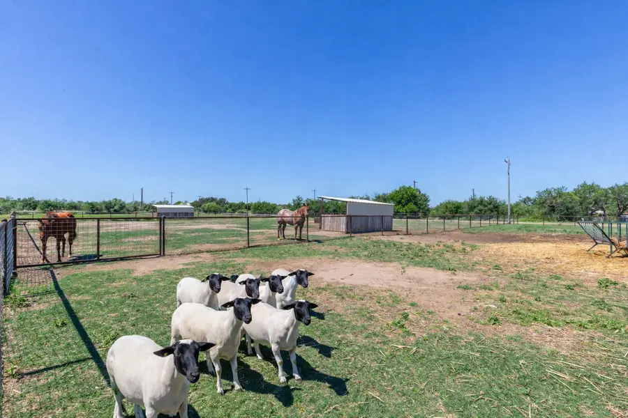 427 Meadow Lane, Abilene, TX 79602 - #3