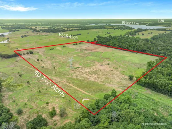 40.72 Acres Vz County Road 4503, Ben Wheeler, TX 75754
