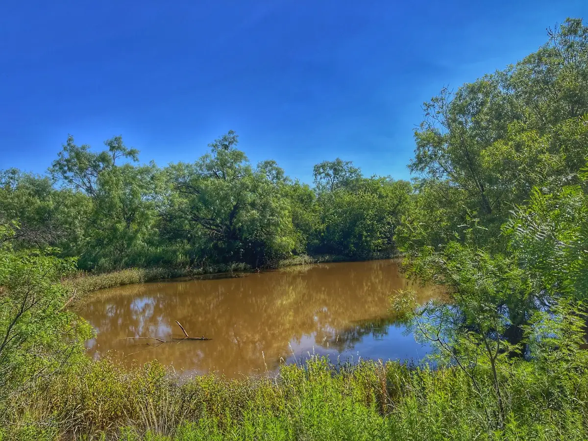 1363 County Road 441, Sweetwater, TX 79556 - #1