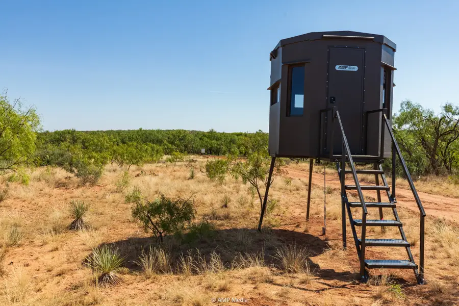 1363 County Road 441, Sweetwater, TX 79556 - #3