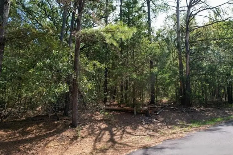 18 Angelina St, Mount Vernon, TX 75457 - #1